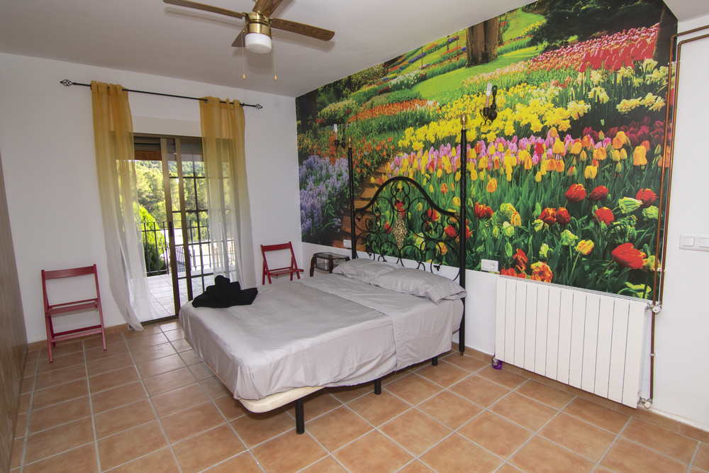 IMG_8274